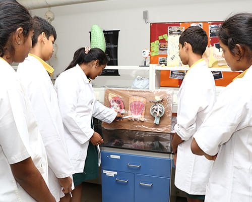 sreenidhi-lab-with-student-04